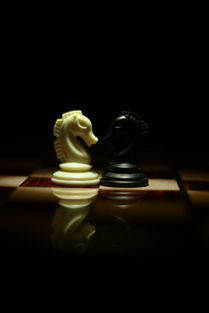 2025年河北省青少年五子棋锦标赛圆满闭幕
